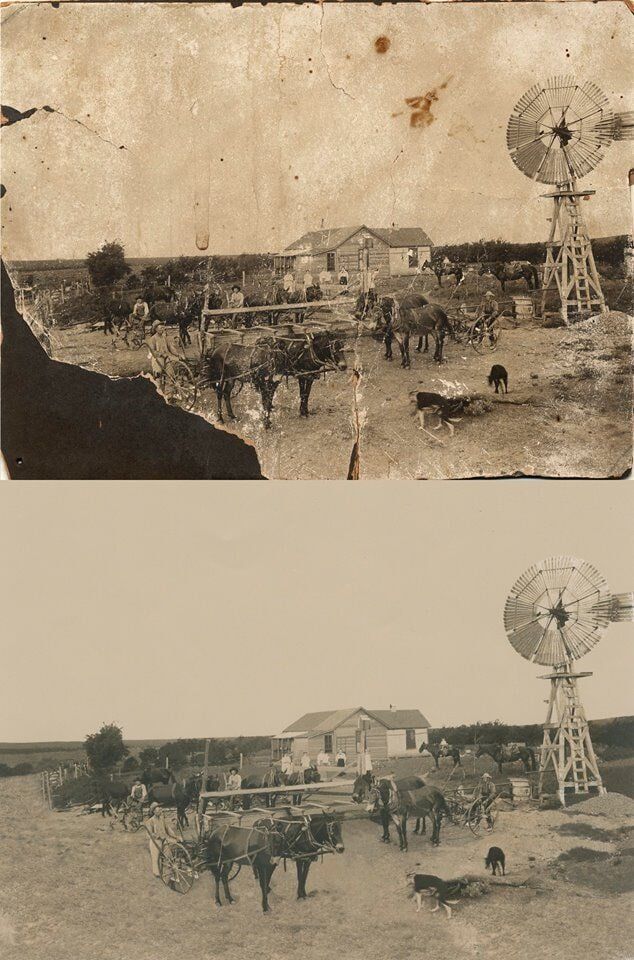 Horse farm photo restoration — photo restoration in Tempe, AZ