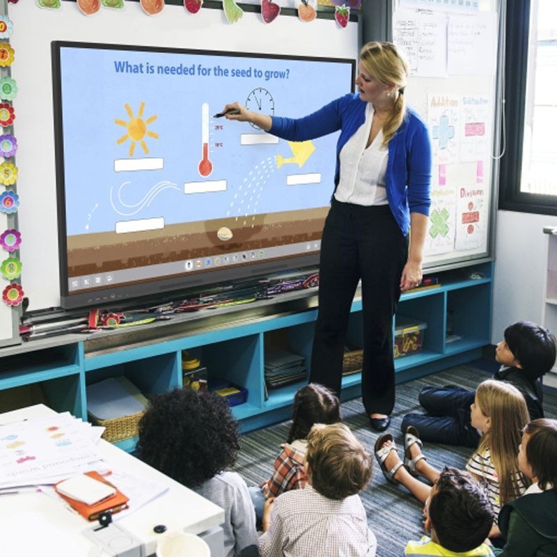 A woman is standing in front of a large screen that says what is needed for the seed to grow