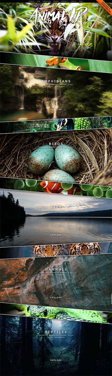 A collage of pictures of different types of landscapes.