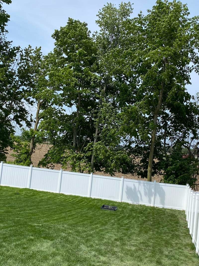 White fence encloses a green lawn with trees and a bright blue sky in the background.