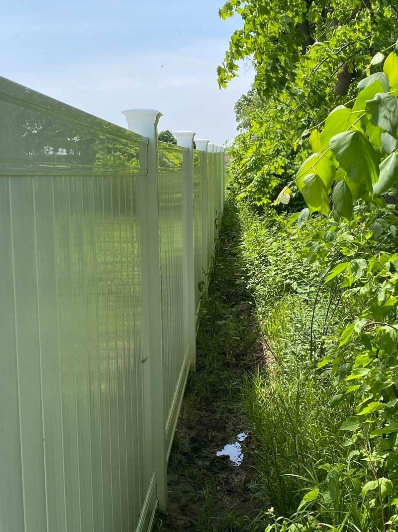 White fence bordering overgrown vegetation under a blue sky.