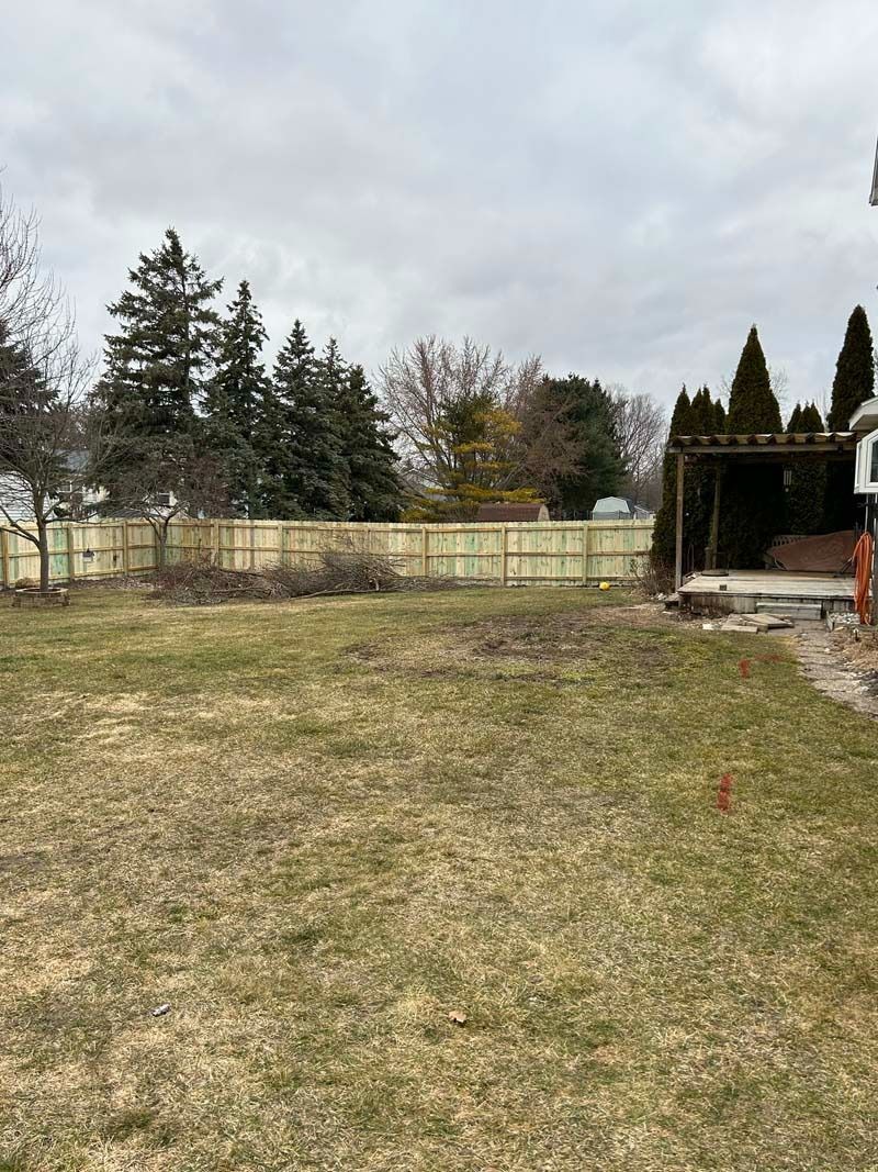 Backyard with a newly constructed wooden fence, trees, and overcast sky.