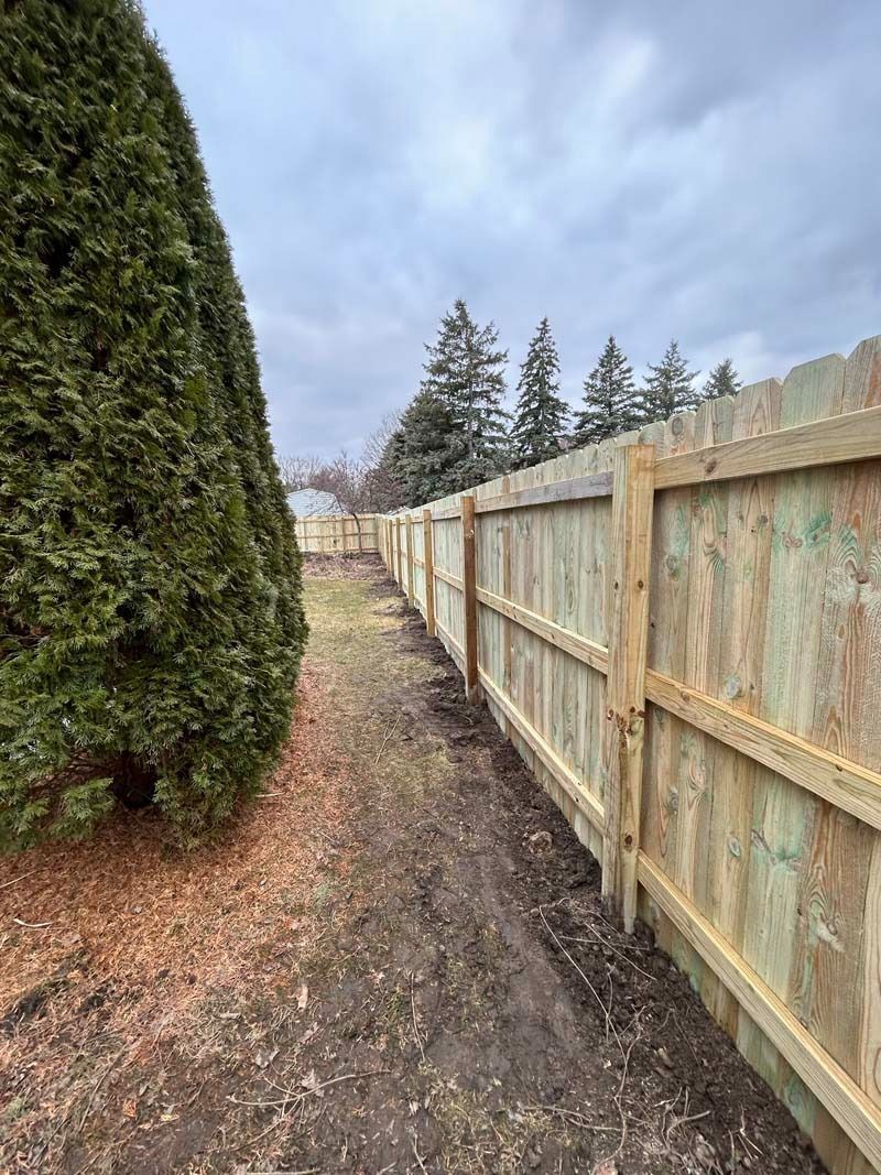 Wooden fence borders a muddy backyard with a tall evergreen tree and cloudy sky.