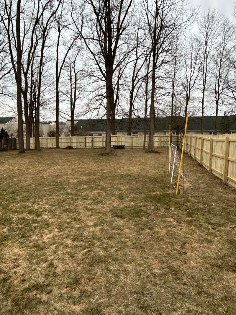 Backyard with brown grass, a new wooden fence, and bare trees under an overcast sky.