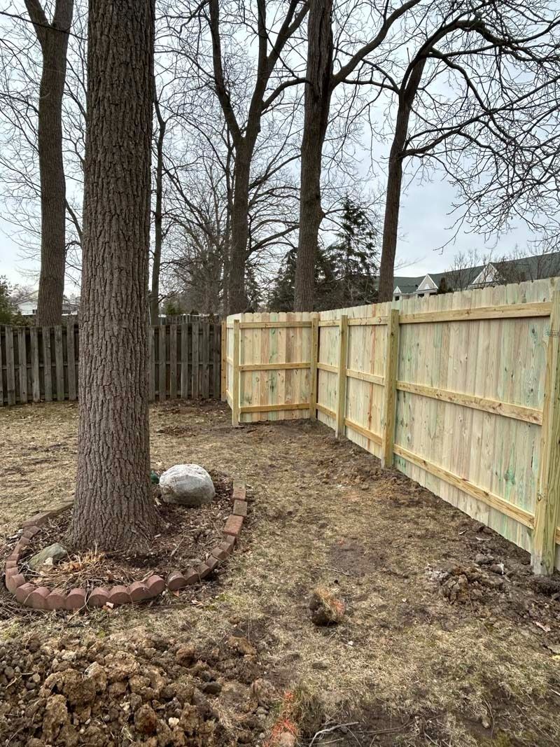 Newly built wooden fence in a backyard, with a tree and bare ground.