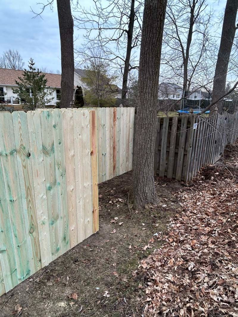 New wooden fence next to an old weathered fence, a tree in between. Green-treated wood, outdoors.