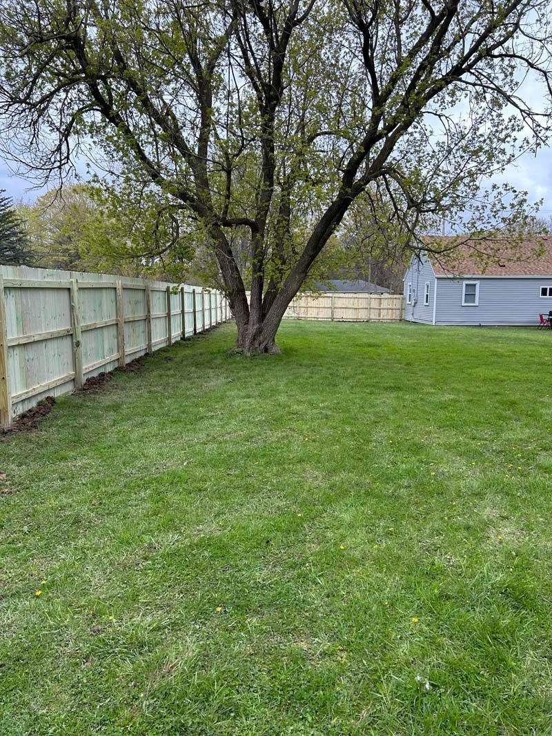 Green lawn with a large tree, a light gray fence, and a light blue house in the background.