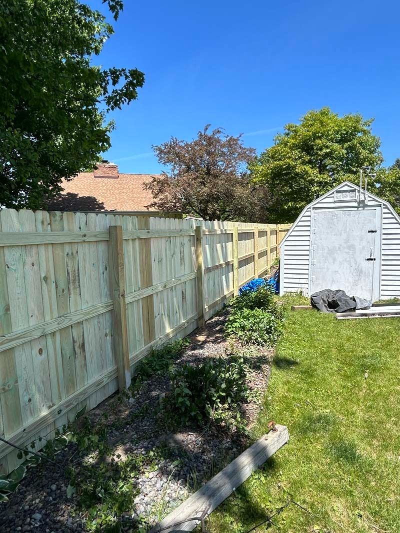Wooden fence in a backyard, with plants below and a small shed in the background on a sunny day.