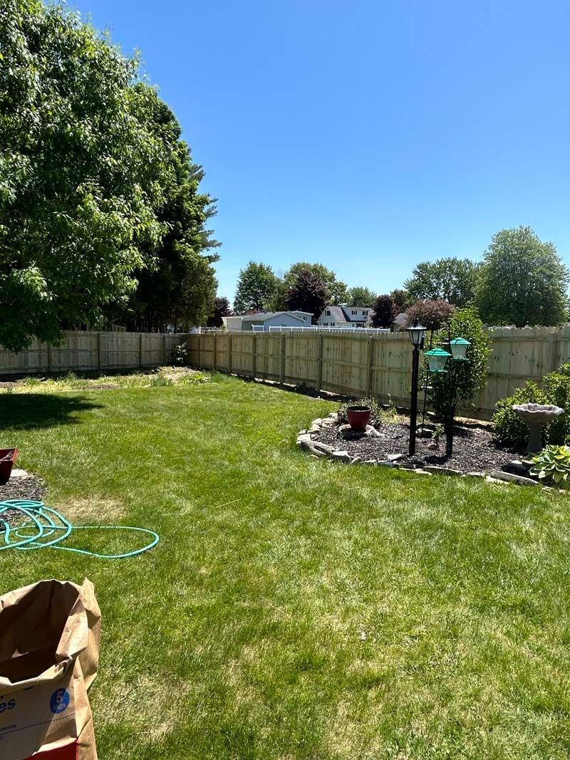 Lush green backyard with wooden fence, trees, and clear blue sky.