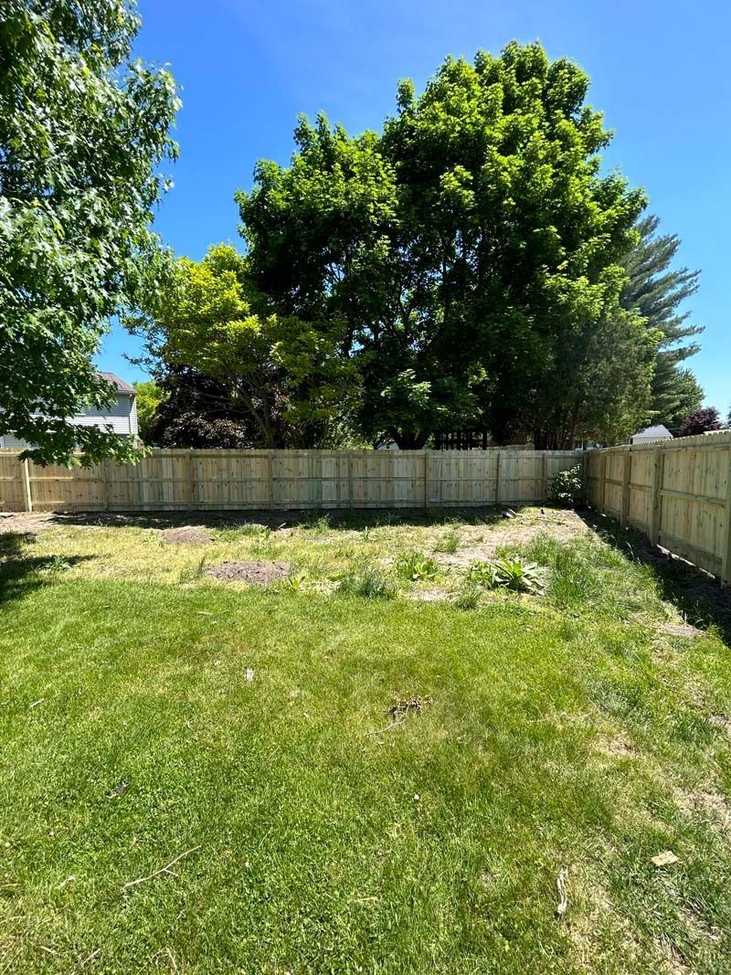 Backyard with new wooden fence, green grass, and trees against a bright blue sky.