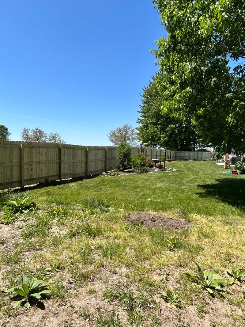 A grassy backyard with a wooden fence and a tree on a sunny day.