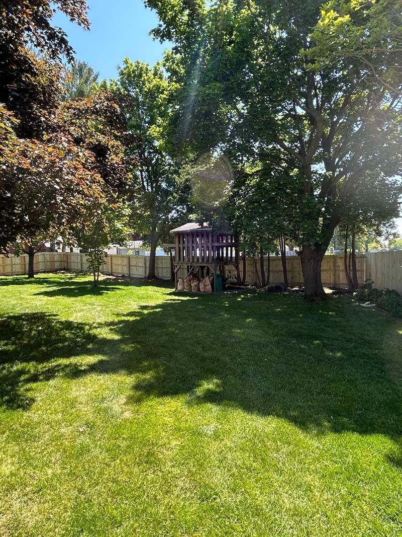 Green grassy backyard with a wooden play structure, trees, and a fence.