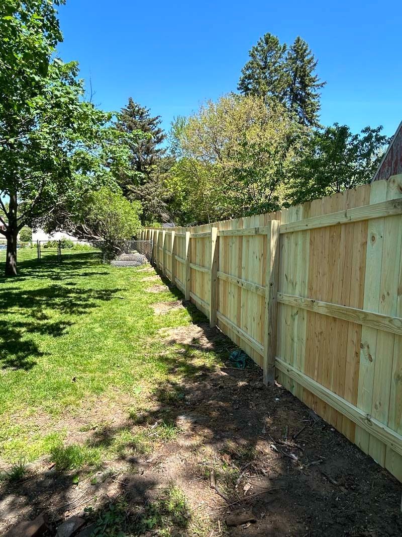 Wooden fence in a sunny backyard, green grass, trees, and blue sky.