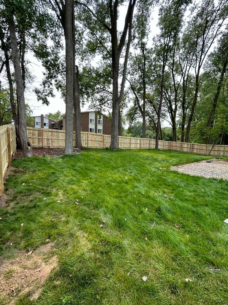 Green grassy yard bordered by wooden fence and tall trees. Buildings in background.