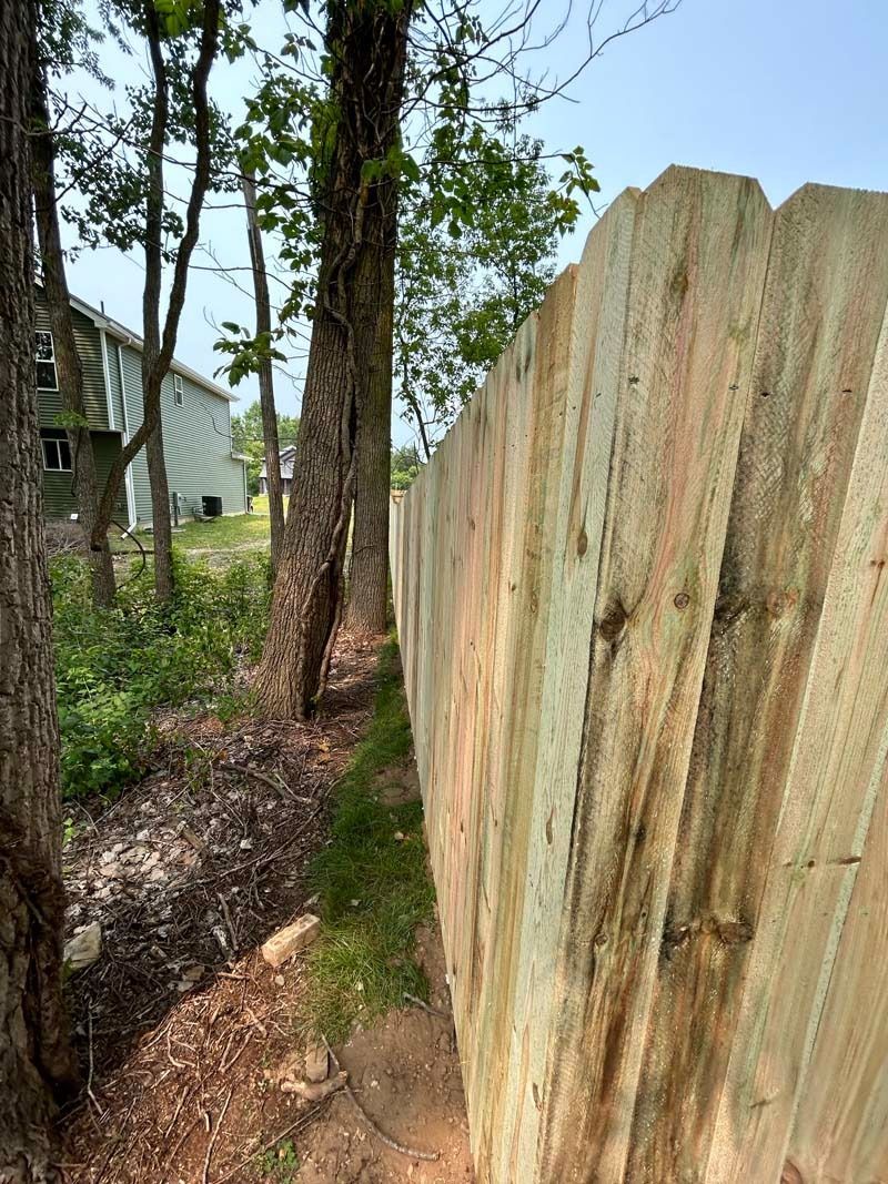 Wooden fence next to trees and a grassy area. Sunlight illuminates the fence on a clear day.