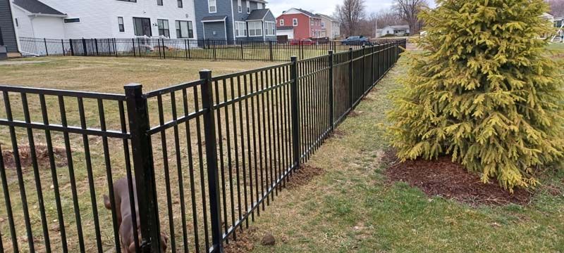Black metal fence along a yard next to a tree and houses in the background.