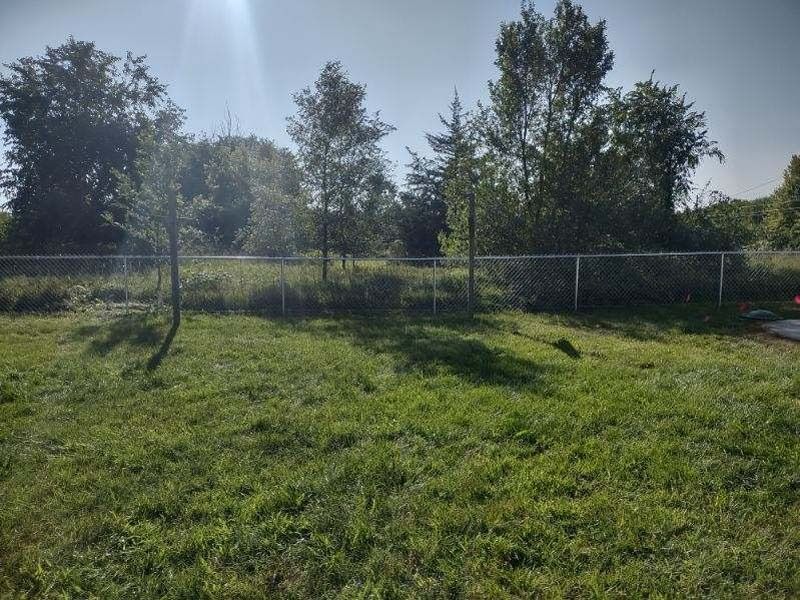 Chain-link fence encloses a grassy area, trees beyond. Sunny day.