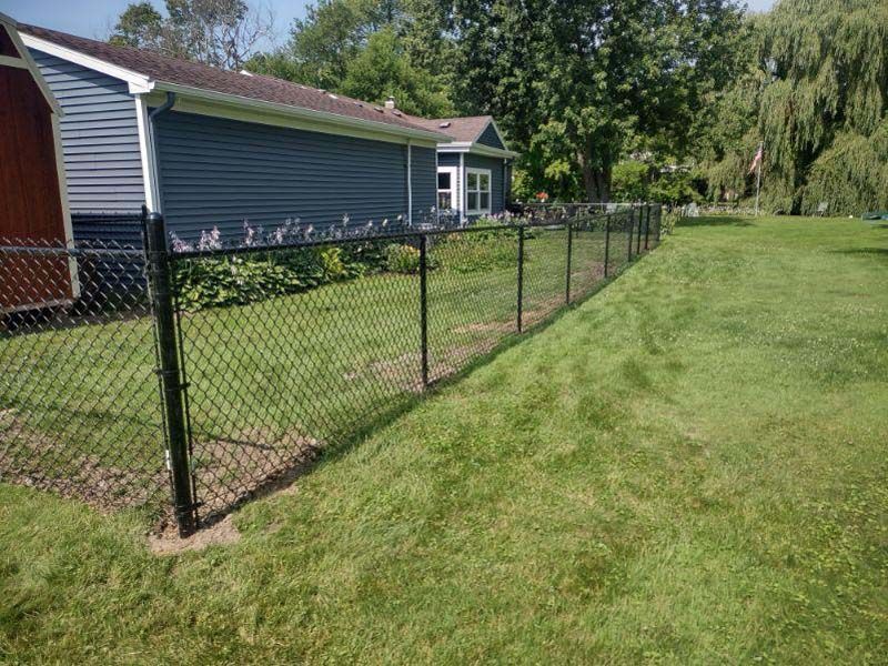 Black chain-link fence along a grassy yard next to a blue house.