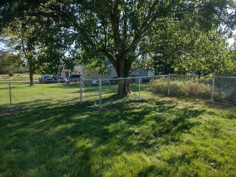A chain-link fence surrounds a grassy yard with a tree. A house and cars are in the background.