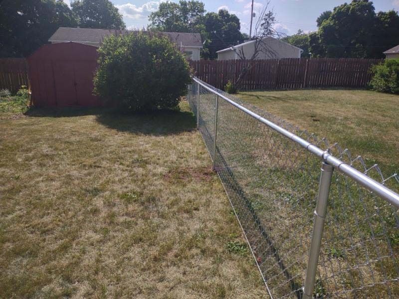 Backyard with chain-link fence, dry grass, red shed, and a large bush. Sunny day.