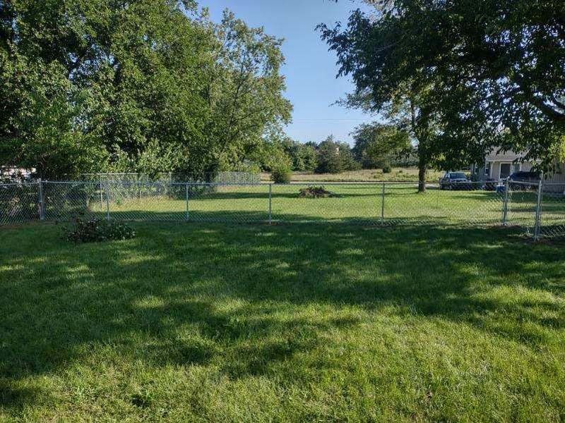 Green grassy backyard with chain link fence, trees, and a clear sky.