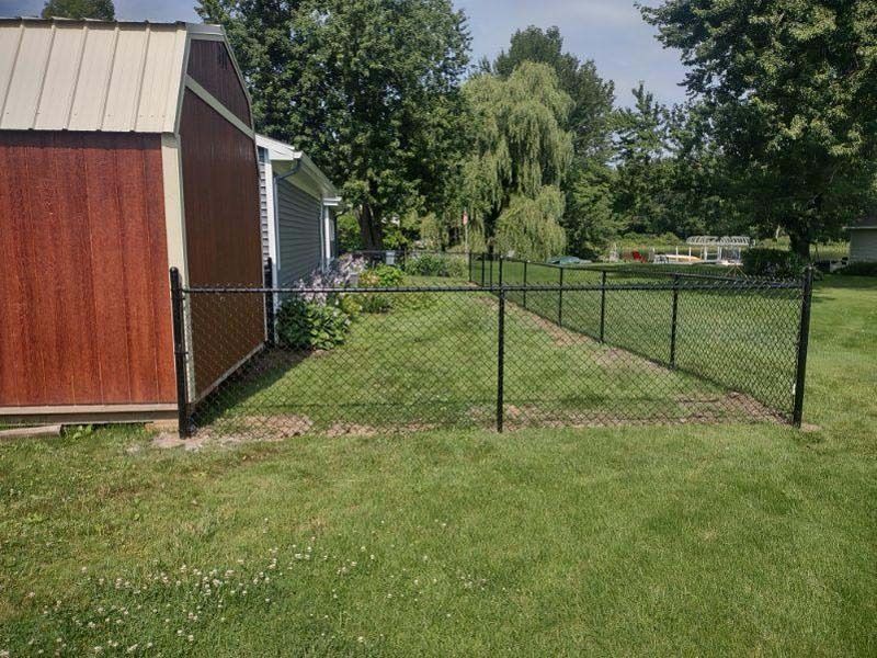 Black chain-link fence next to a red and tan shed, with grass and trees in the background.