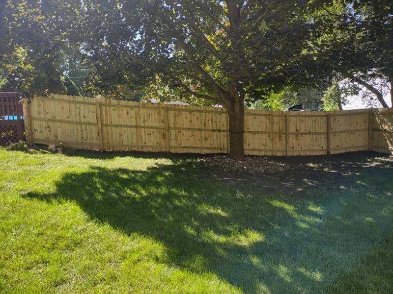 Wooden fence surrounding a tree in a grassy backyard on a sunny day.