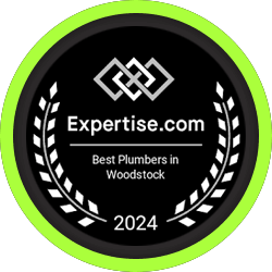 Expertise.com best plumbers in woodstock 2024 badge