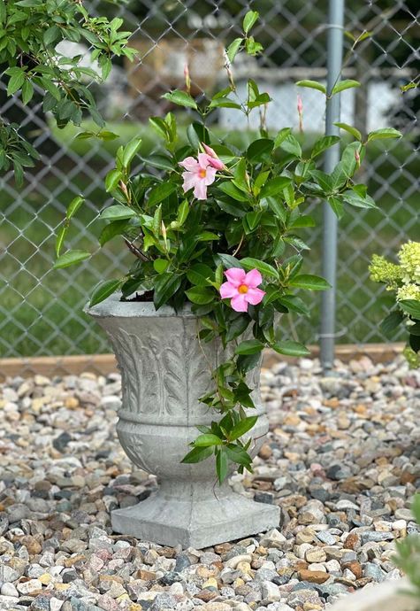 A planter filled with pink flowers is sitting on a pile of gravel next to a chain link fence.