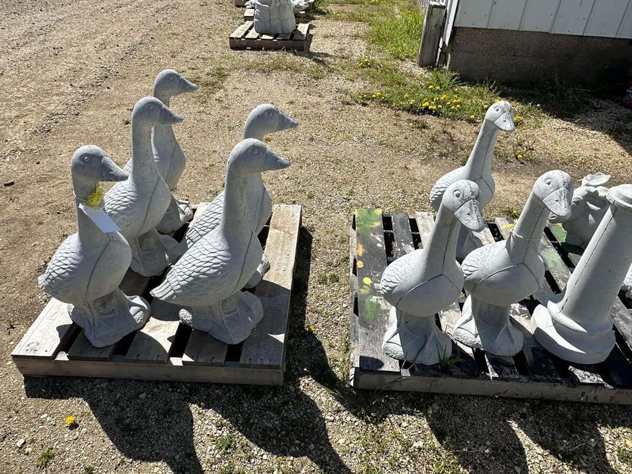 A group of ducks sitting on top of wooden pallets.