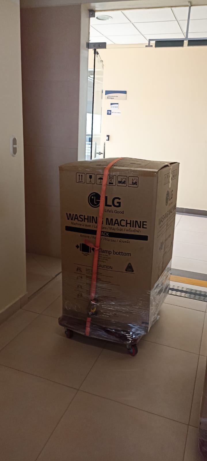 Transportes & Mudanzas Angel Sociedad Anonima Cerrada