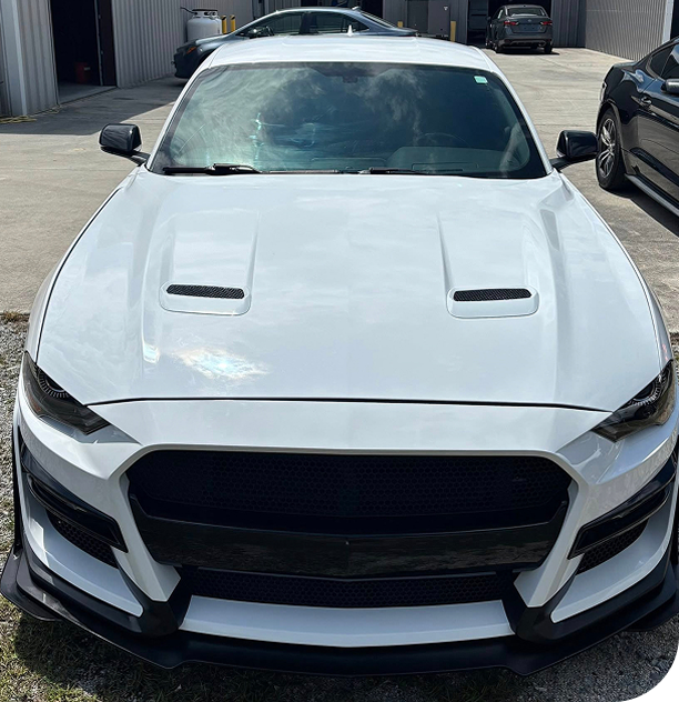 White Ford Mustang with black grille and hood vents parked outdoors.