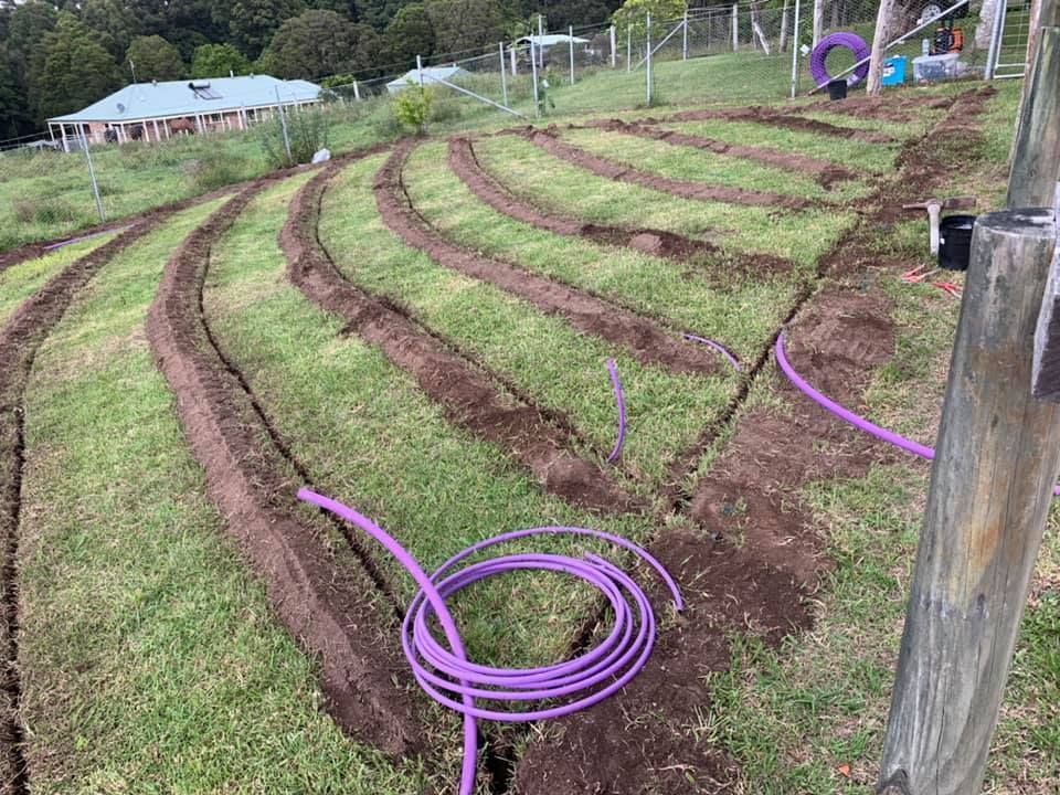 A purple hose is sitting in the middle of a grassy field — Matt King Plumbing & Septic Systems in Wauchope, NSW
