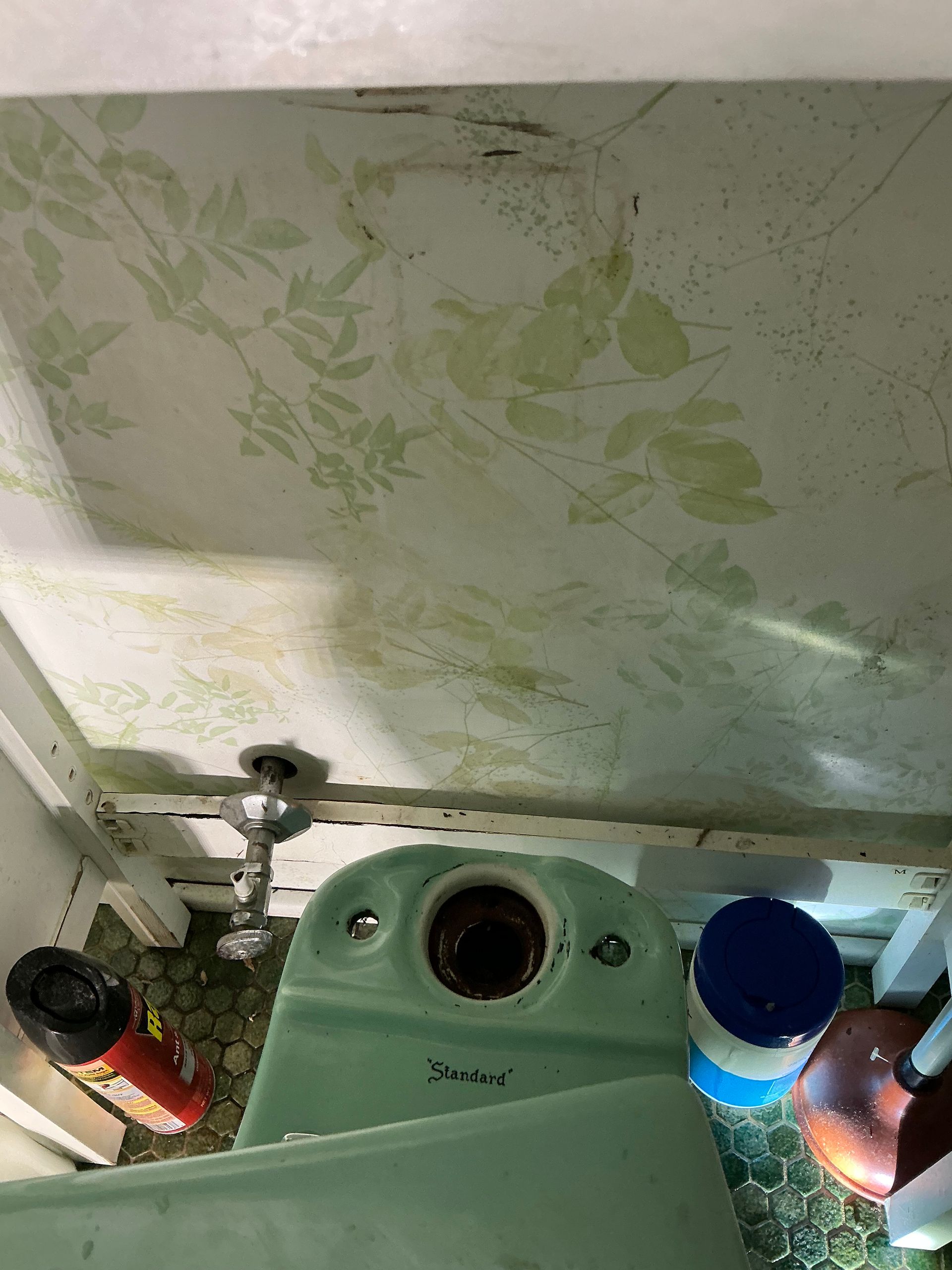 Green vintage toilet with stained wallpaper, seen from above.