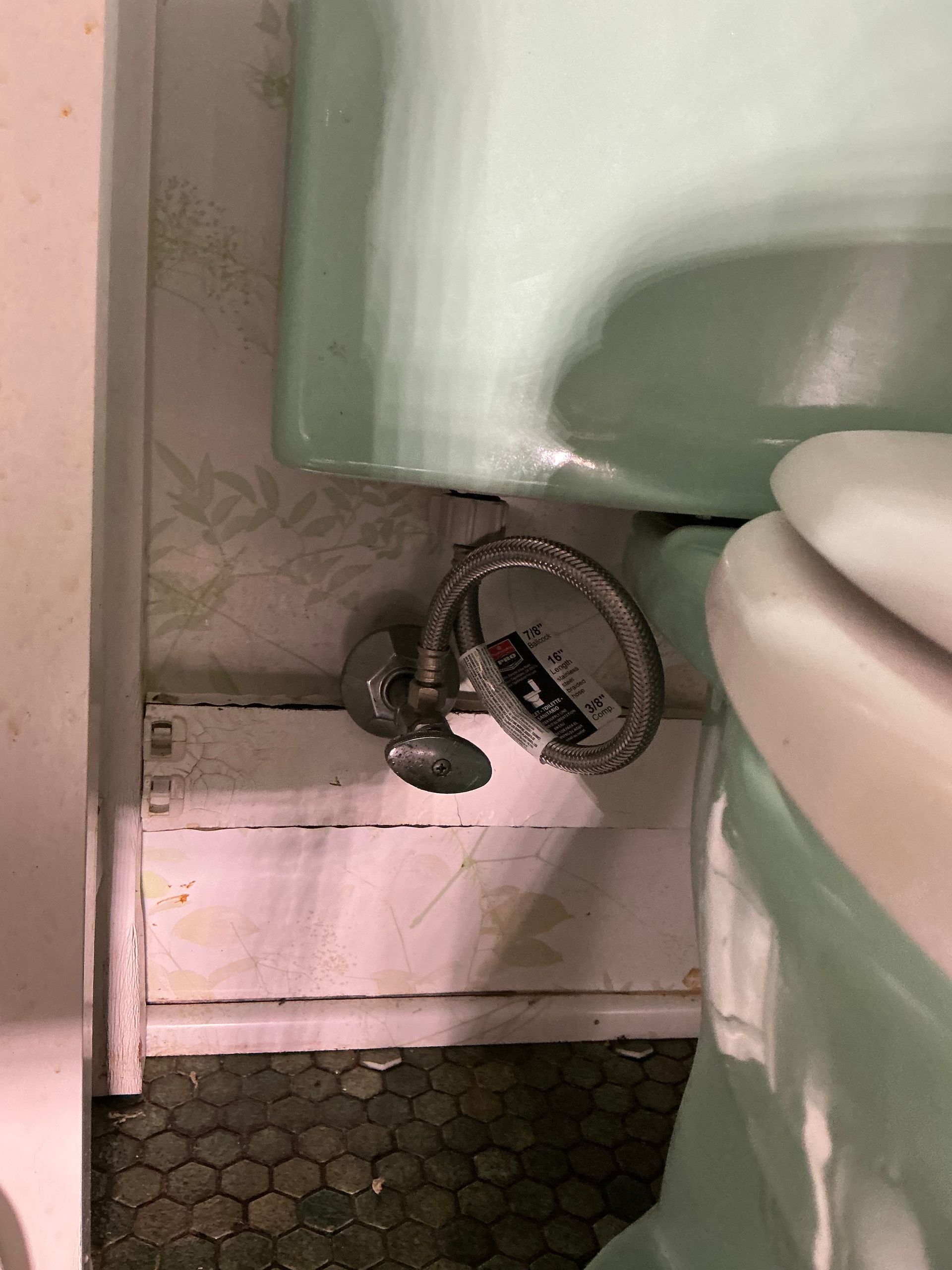 A toilet with a flexible metal water supply line in a bathroom; the toilet and the wall are light green.