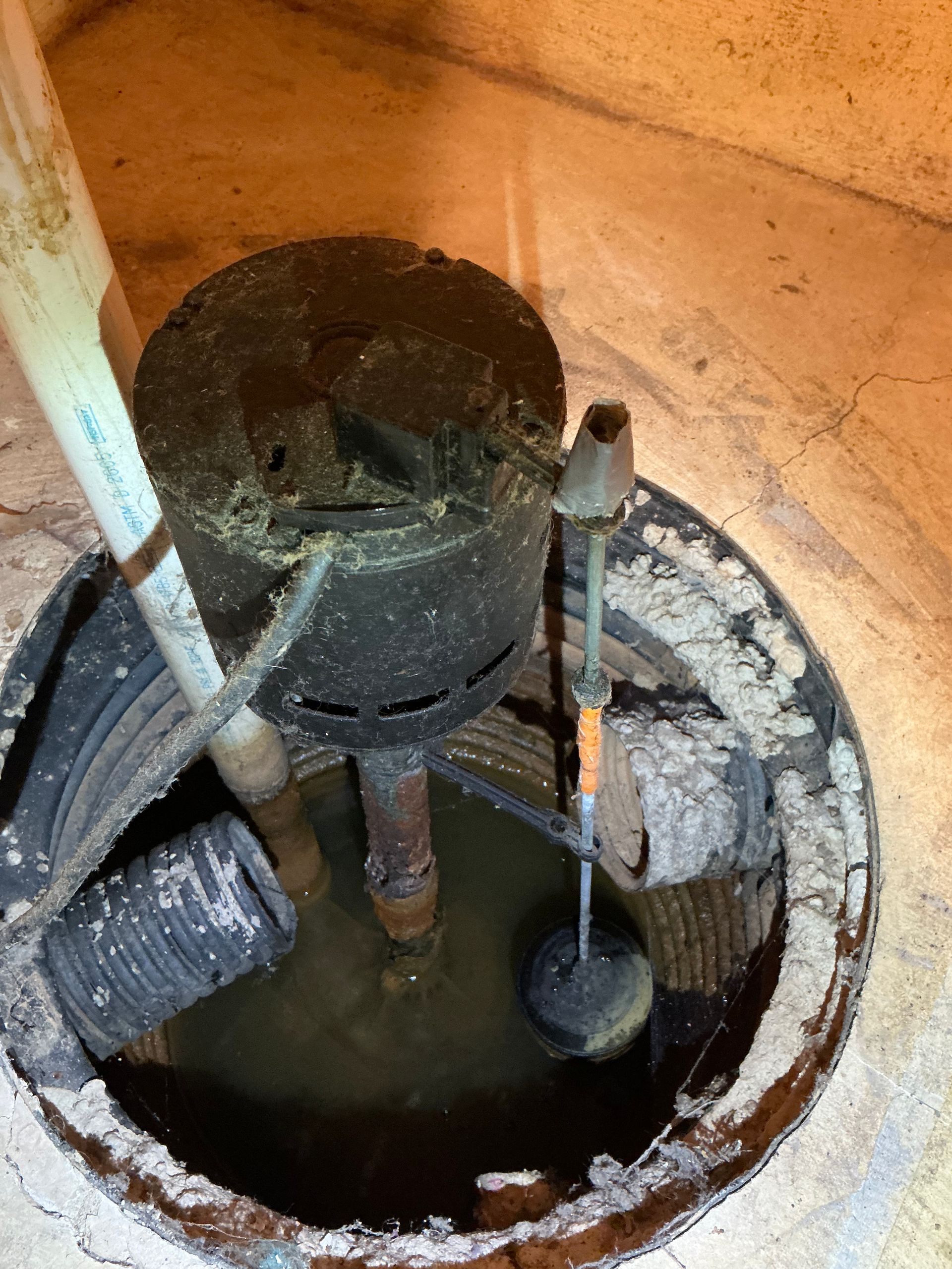 Sump pump in a dark basement pit. Black pump, water, and float. Beige concrete surrounding.