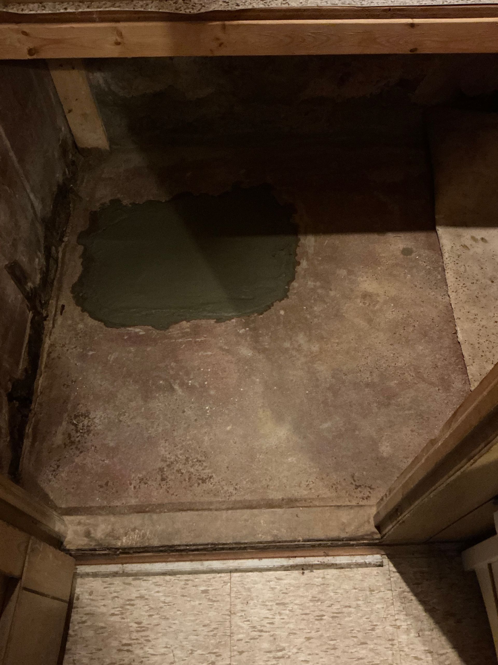 Concrete floor with a circular patch of green material; wooden trim surrounds the floor.