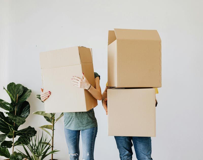 A man and a woman are holding cardboard boxes in front of their faces.