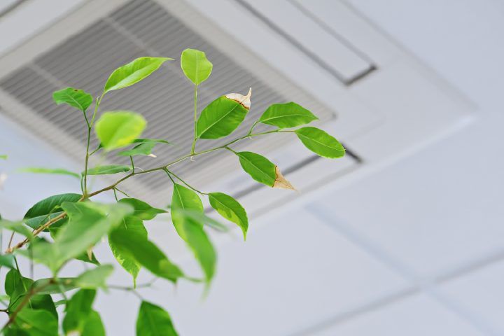 indoor air quality services in alexander city, al