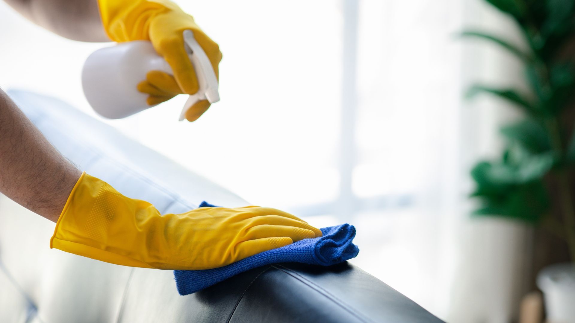 Yellow-gloved hands wiping a black sofa with a blue cloth while spraying cleaner indoors