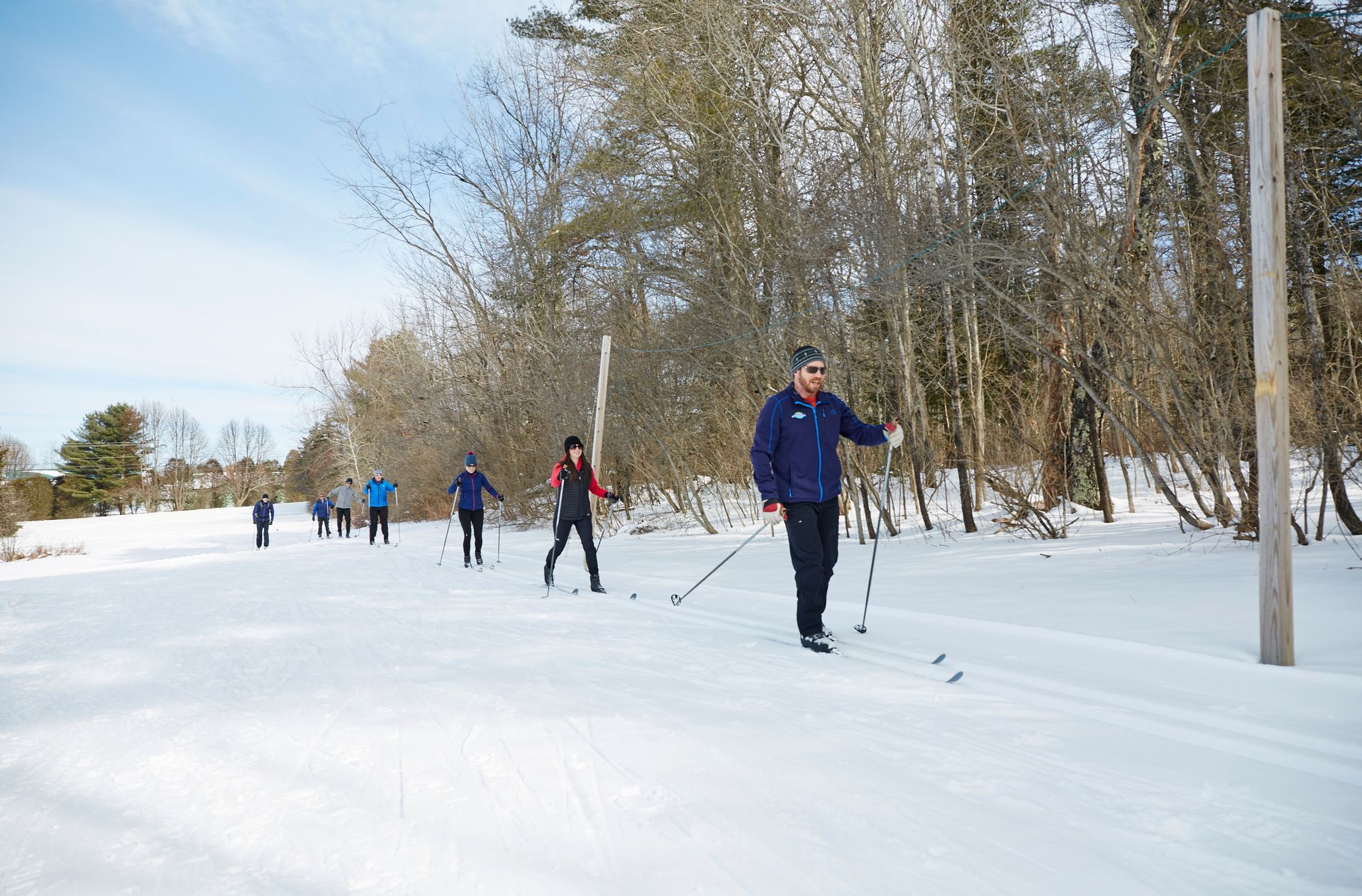 Cross-country skiers on a tree-lined trailed.