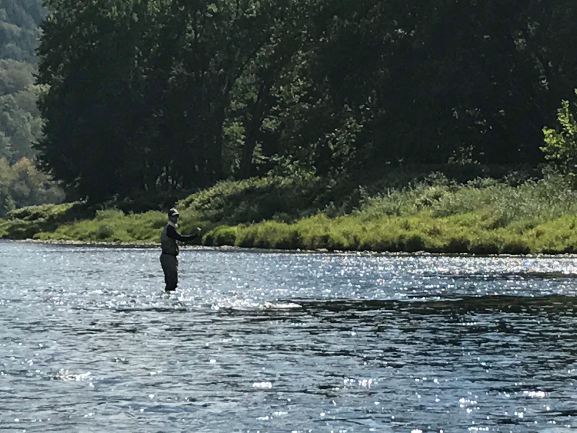 Person standing in a river fly fishing