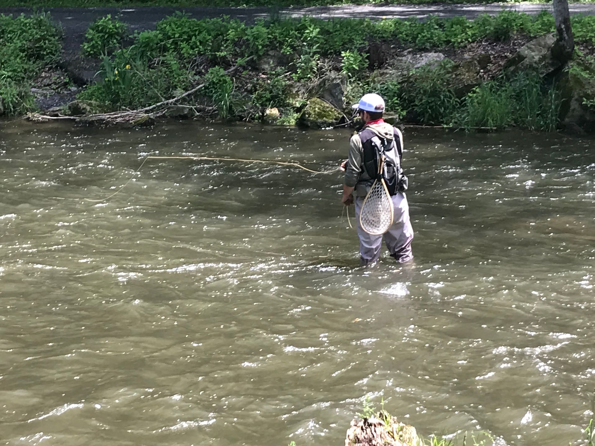 Person standing in a river fly fishing