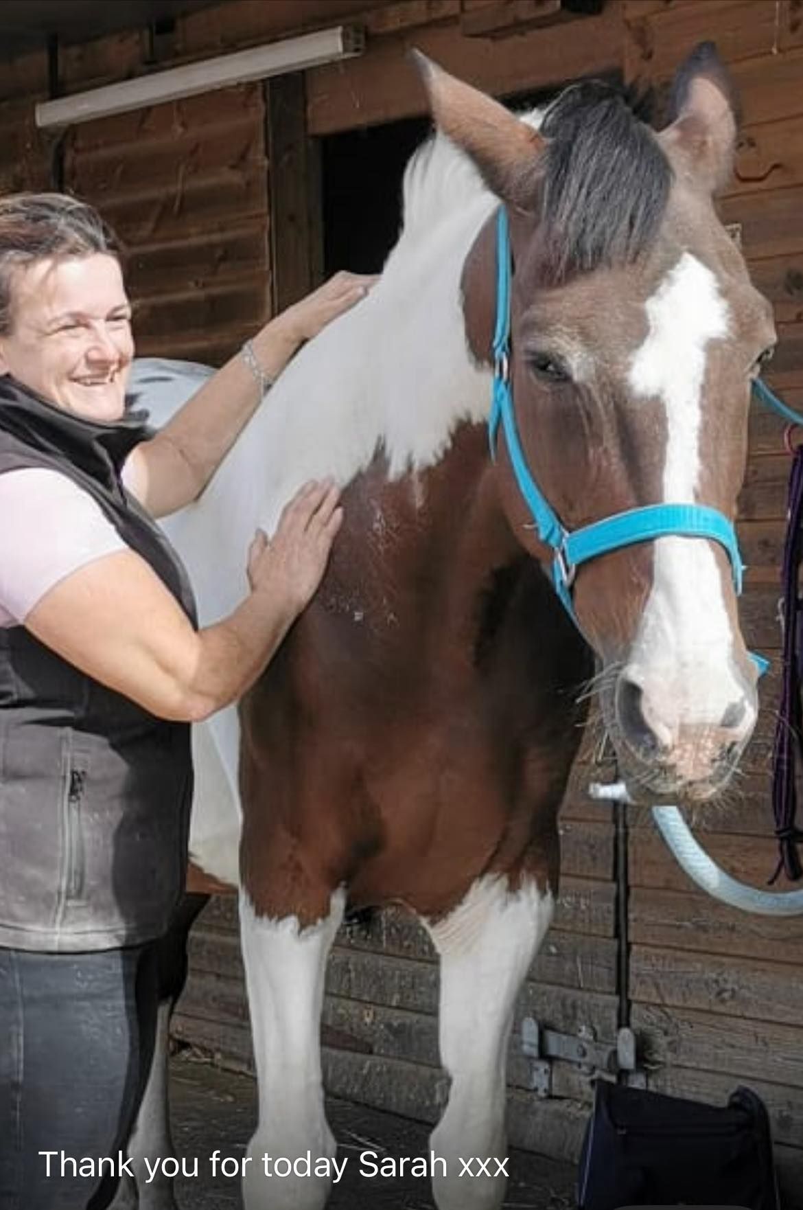 A horse enjoying her massage treatment with Sarah Wood from Flying Hooves