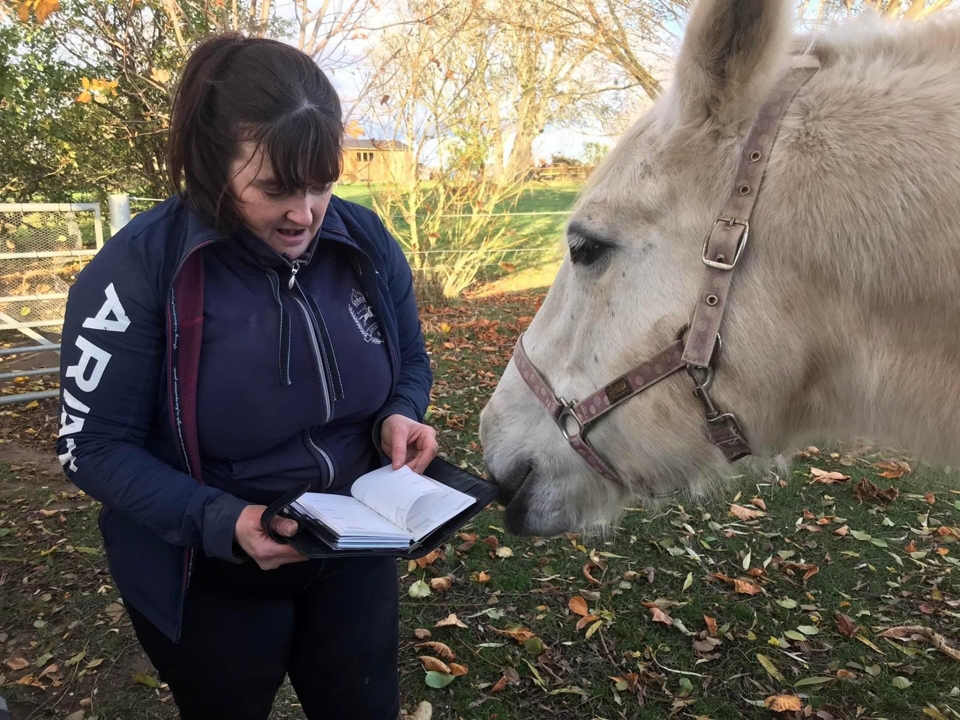 Horse booking an appointment