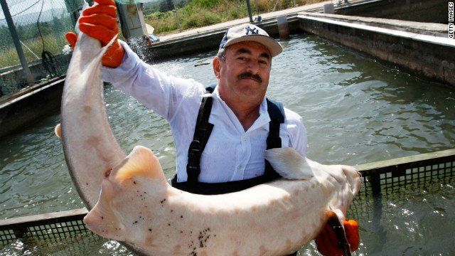 fishing , fish , tours , tour , iran , adventure , fun