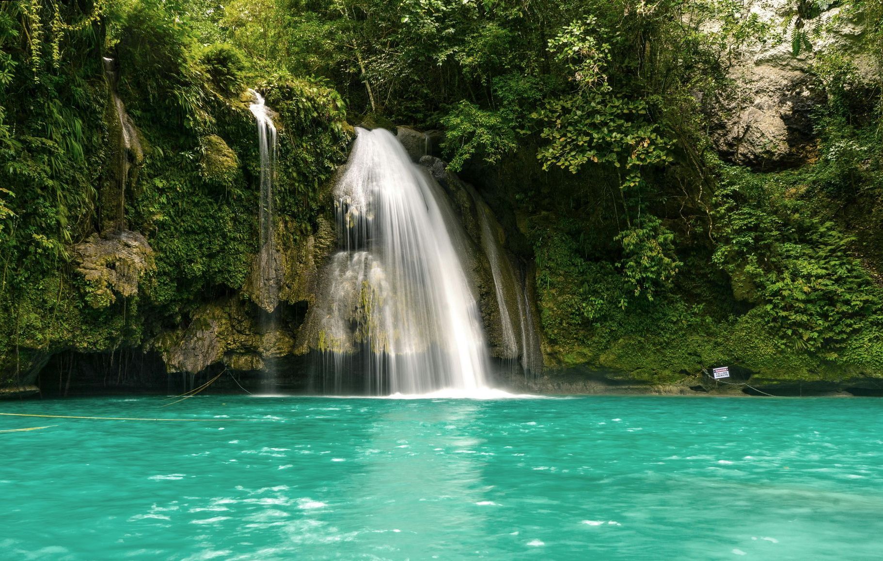 A waterfall in the middle of a lake surrounded by trees