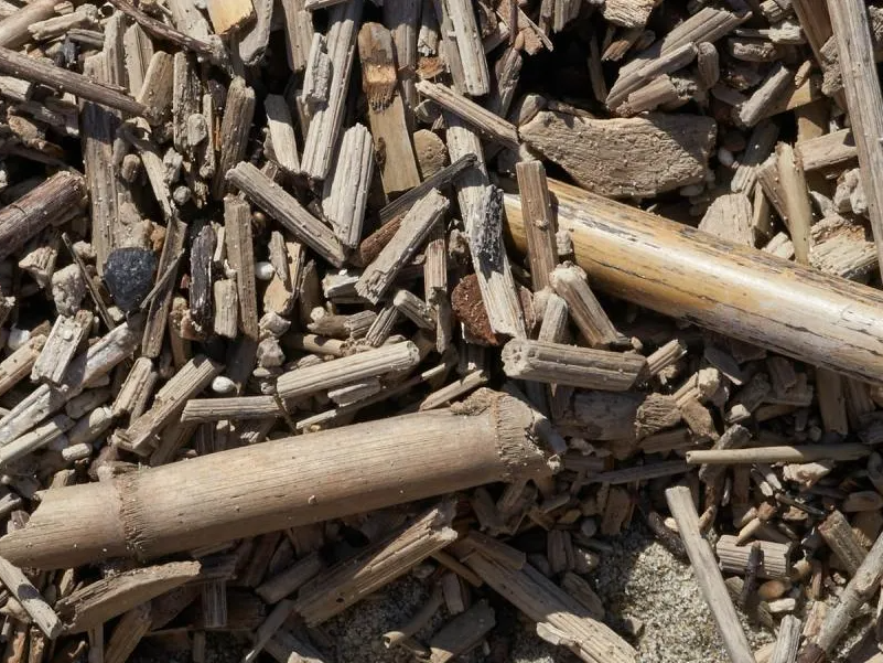 Medienos ištraukimas