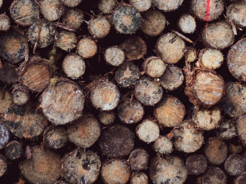 Medienos pervežimas