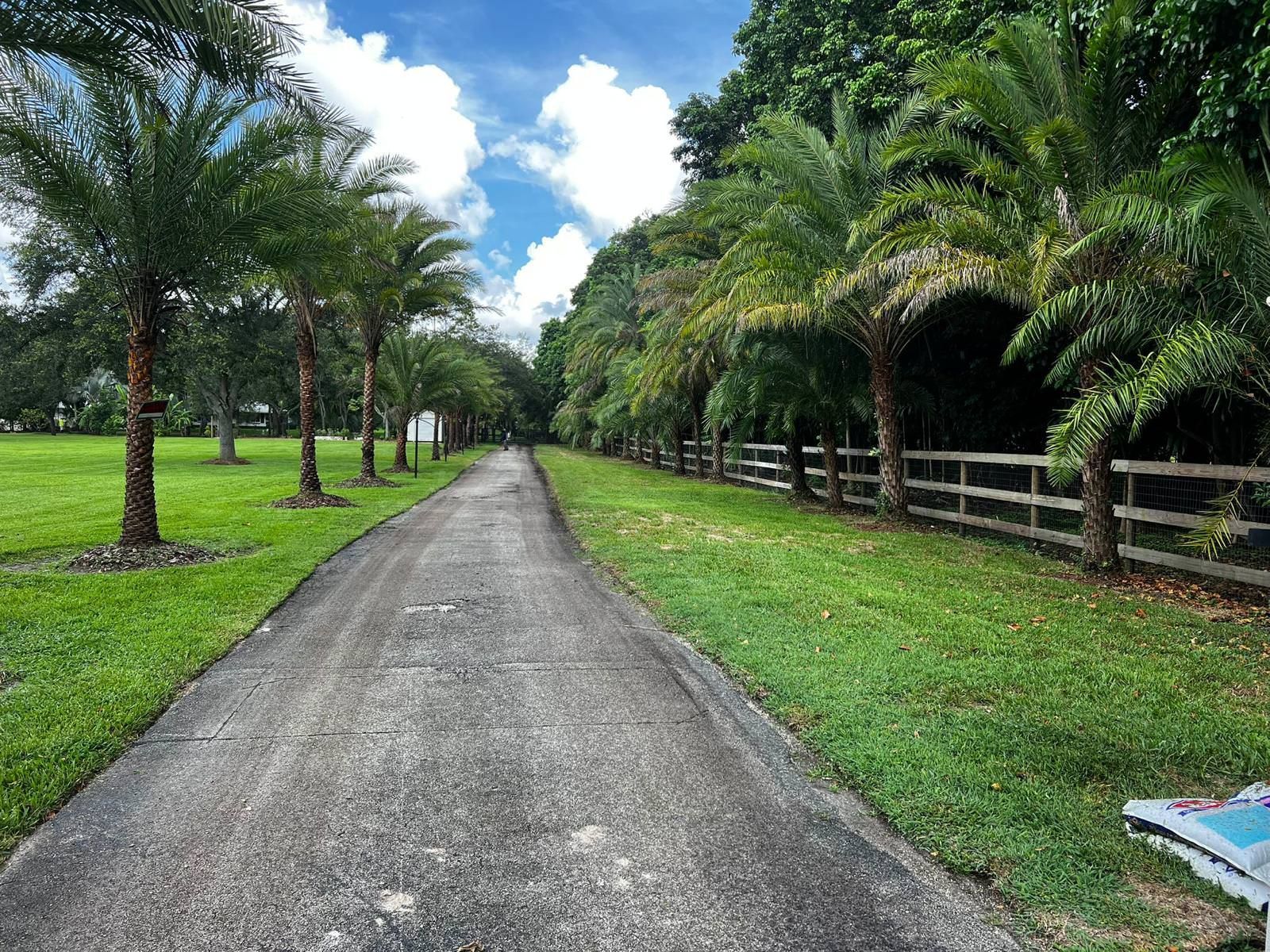 lush green field with palm trees and a wooden fence.